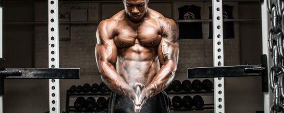 Testosterone Propionate: An Overview Testosterone Propionate: An Overview
