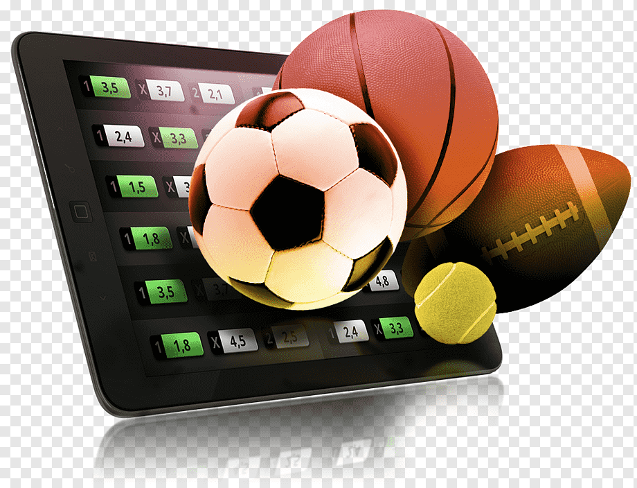 Discover the Best Crypto-Friendly Casinos With Low Fees Discover the Best Crypto-Friendly Casinos With Low Fees