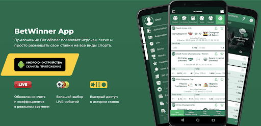 Everything You Need to Know About the Bookmaker BetWinner