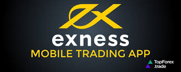 Your Ultimate Guide to Exness Member Log